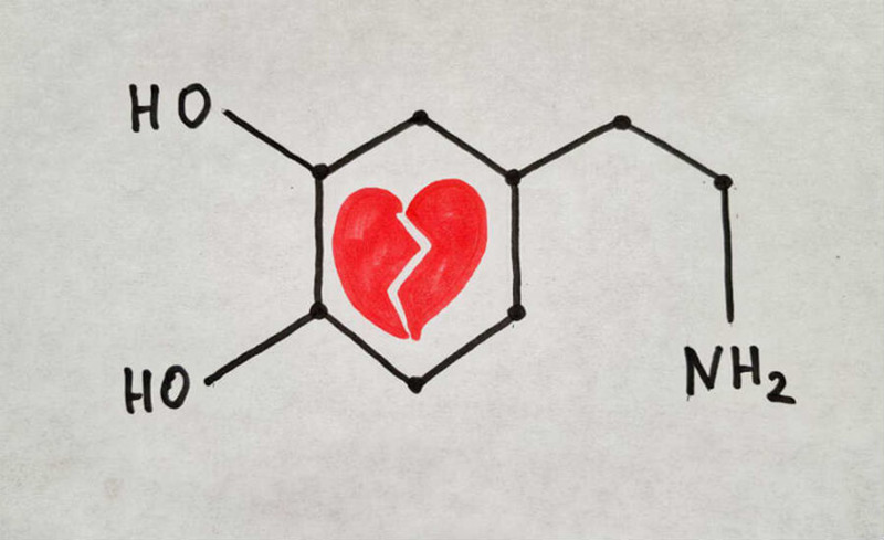 Дофаминовая любовь: Как мы «подсаживаемся» на человека