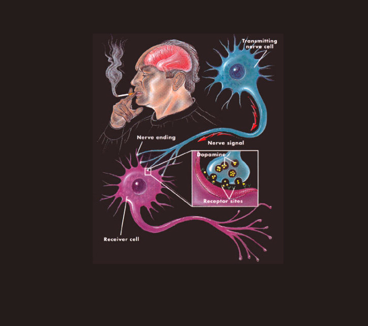 Отказ от курения начинается с мозга