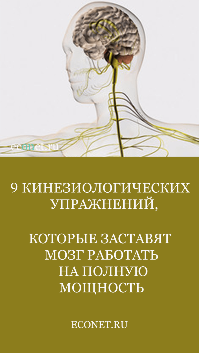 Как развить умственные способности память и внимание заставь свой мозг работать на 100