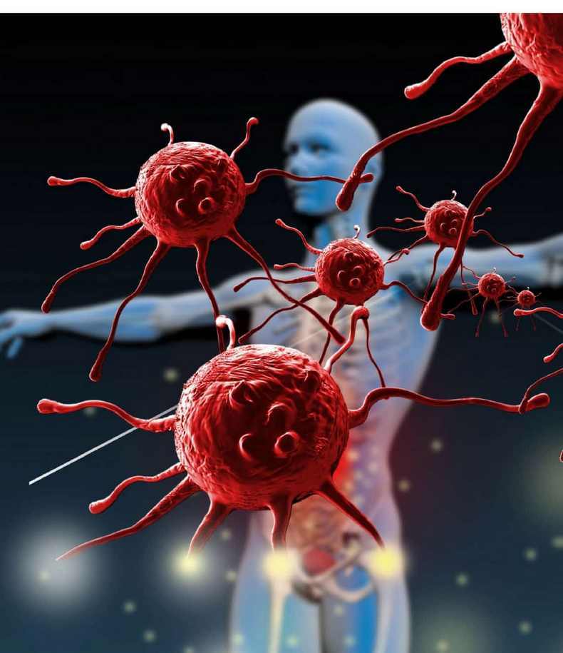 Что такое иммуноглобулины?