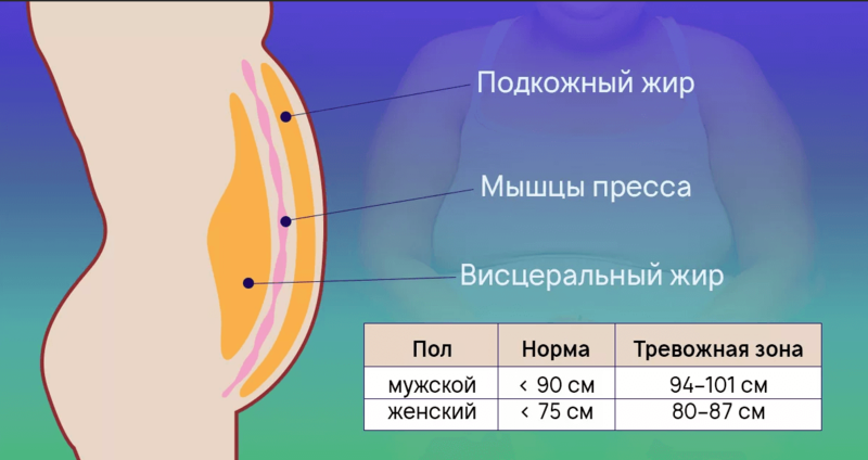 Внутренний жир:10 работающих правил, которые помогут от него избавиться