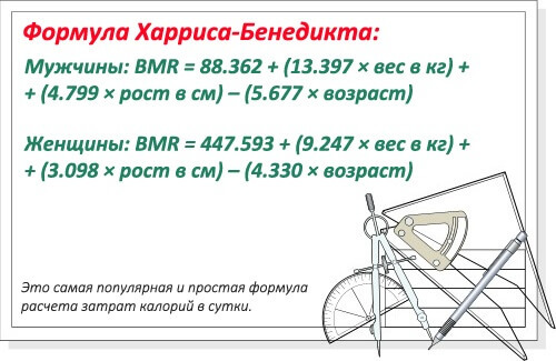 Мифы и правда о питании: Стоит ли считать калории, чтобы похудеть?