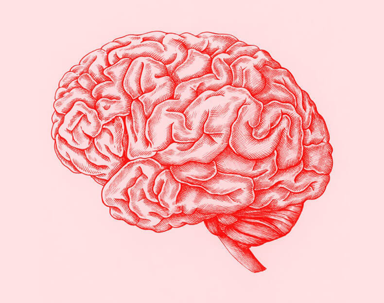 Иллюзии мозга: Когнитивные искажения из-за переизбытка информации