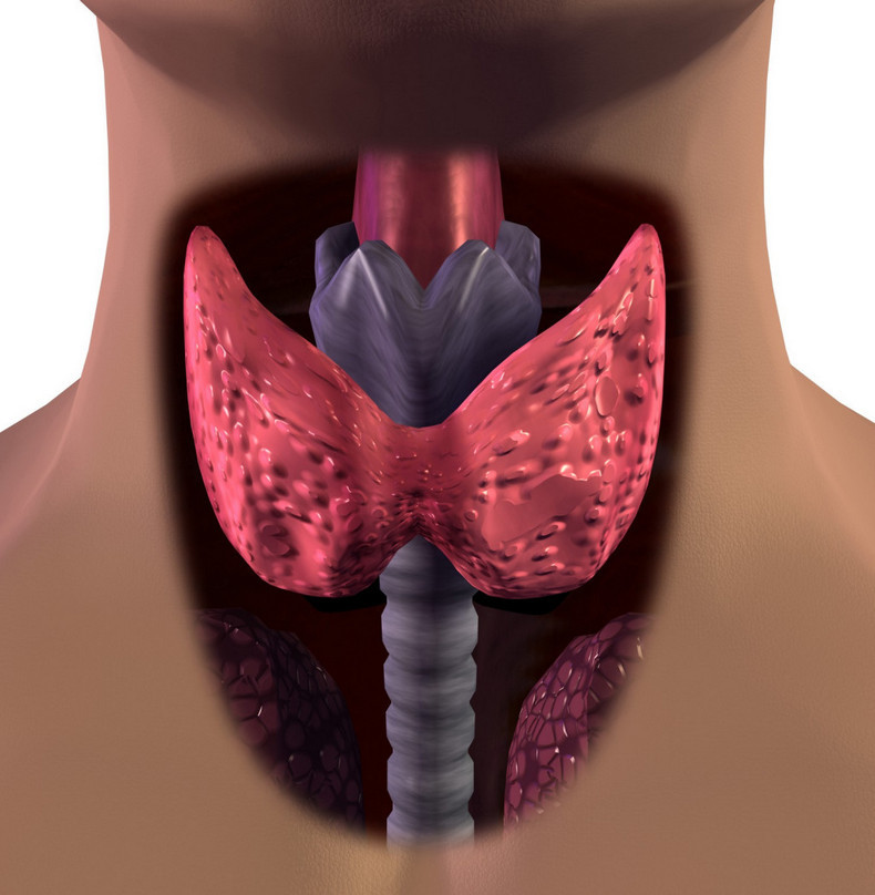 Как щитовидная железа может влиять на давление