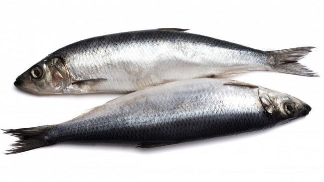 Самые полезные сорта рыб для здоровья: Топ-9