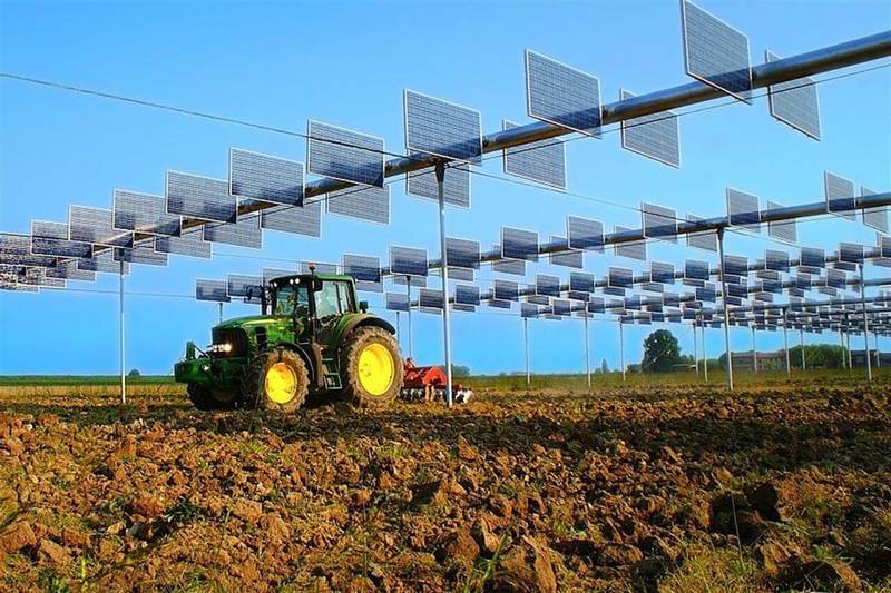 Агровольтаика хороша для сельского хозяйства и для солнечных модулей