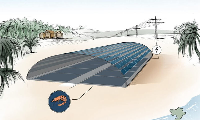 Аквафотовольтаика: солнечные электростанции совместят с фермами по разведению рыбы и креветок