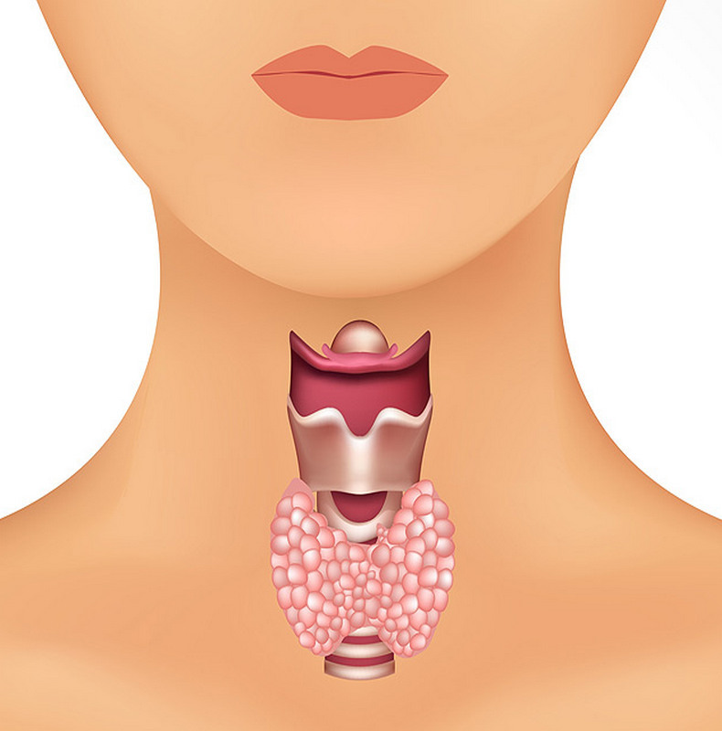 Признаки сбоя в работе щитовидной железы, на которые мы не обращаем внимание