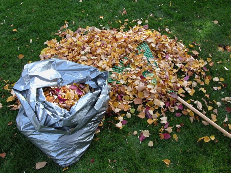 Опавшие листья на даче: лучшие варианты использования природного материала