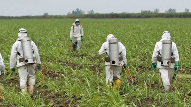 ГМО и глифосат разрушительно влияют на биологию почвы