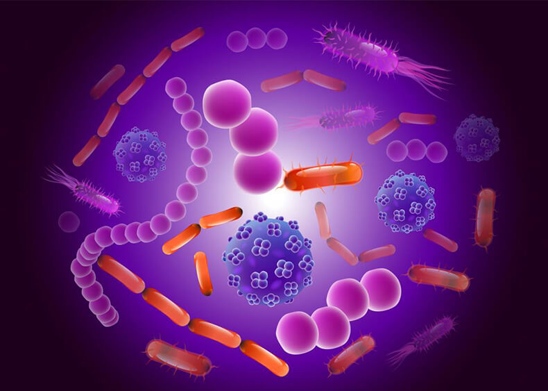 Кишечные бактерии - ключ к здоровью