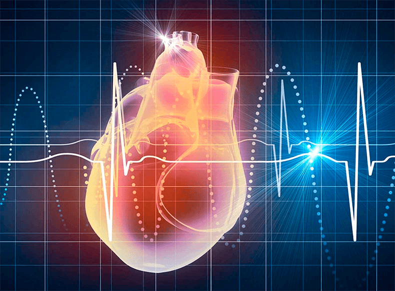 6 лучших способов понизить частоту сердечных сокращений