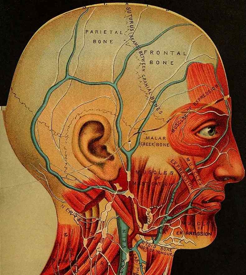 Психосоматика головных болей: Что болит на самом деле