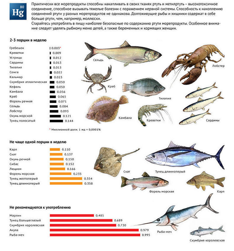 Ртуть в рыбе: Стоит ли беспокоиться?