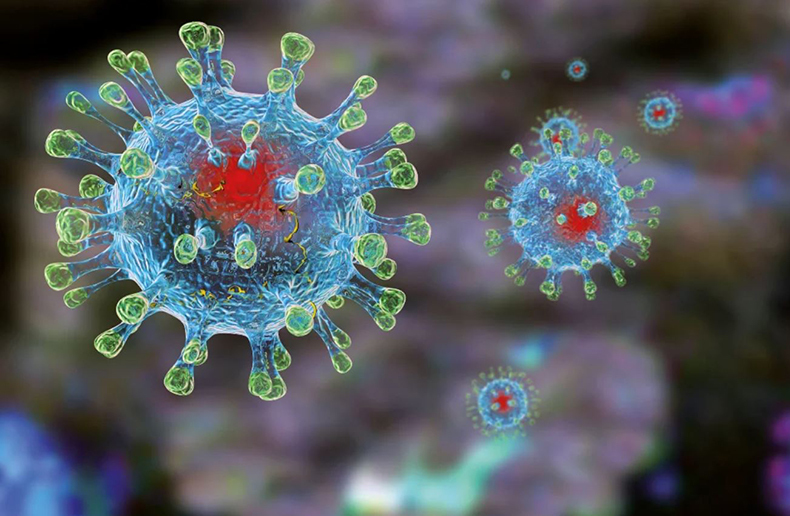Ученые: Ресвератрол укрепит ваш иммунитет