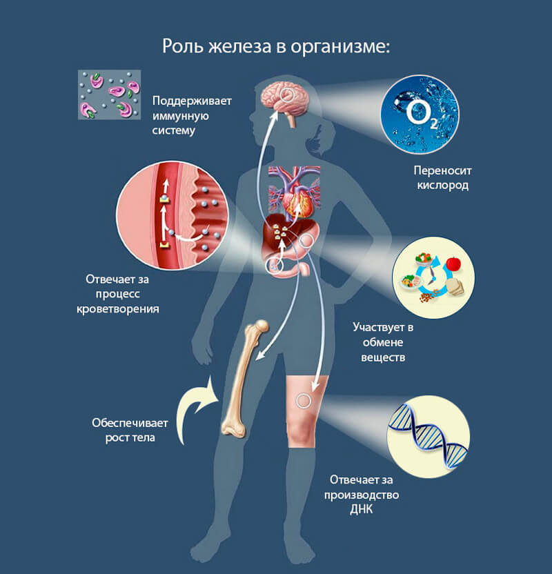 5 типов дефицита микроэлементов, которыми страдают почти все