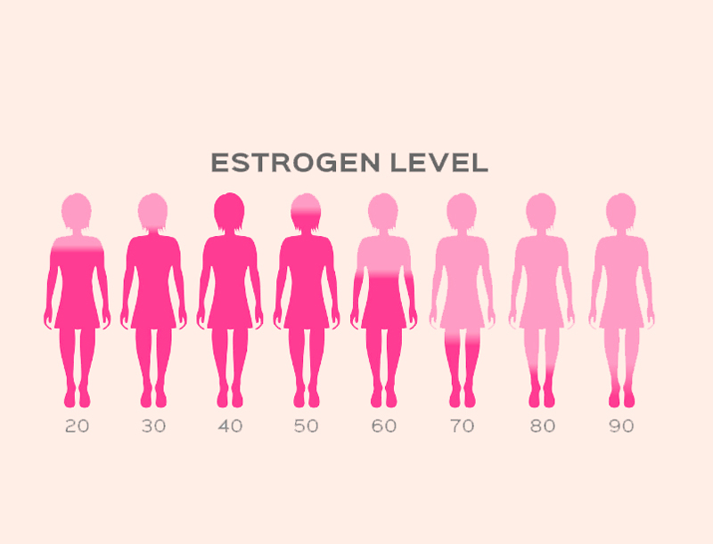 Гормональный фон: Опасность преобладания эстрогенов для женщины