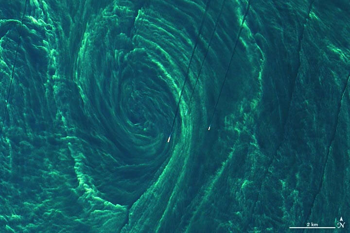 Завораживающее цветение фитопланктона в Балтийском море выглядит невероятно