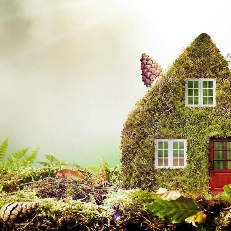 Пять экономичных способов уменьшить углеродный след дома