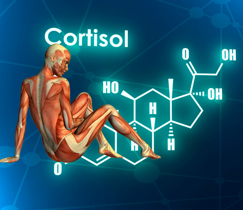 Кортизол повышен: естественные способы понизить гормон стресса