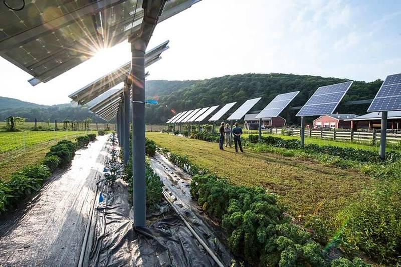 Может ли озеленение вернуть почве солнечной фотоэлектрической станции ее нетронутую красоту?