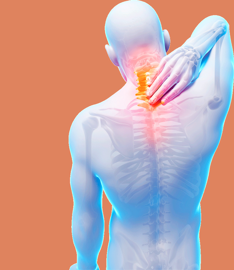 5 упражнений для здоровой спины от рефлексотерапевта