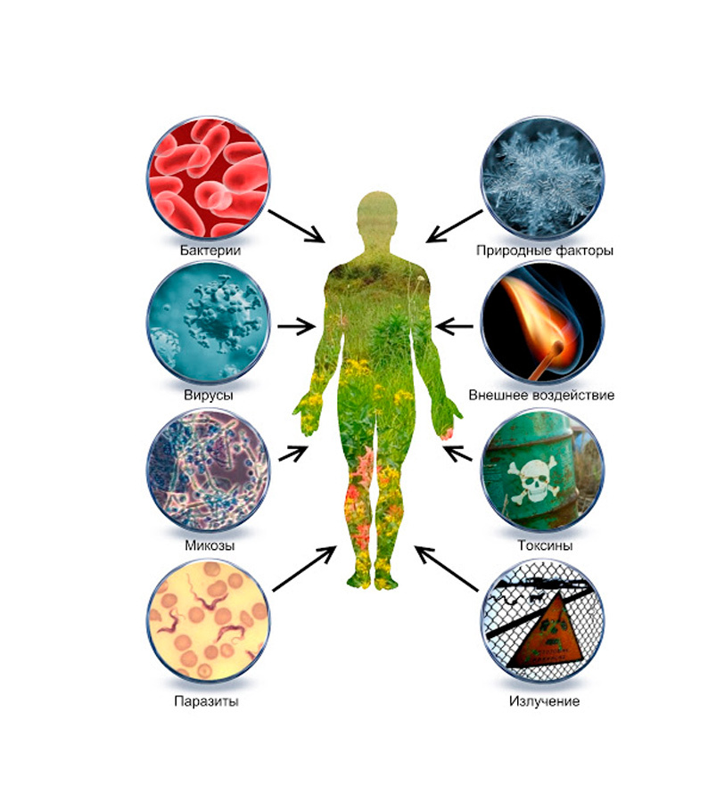Чтобы тело само себя лечило: как не болеть совсем 