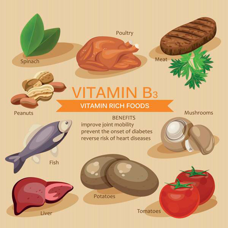 Ниацин: 7 полезных свойств витамина B3