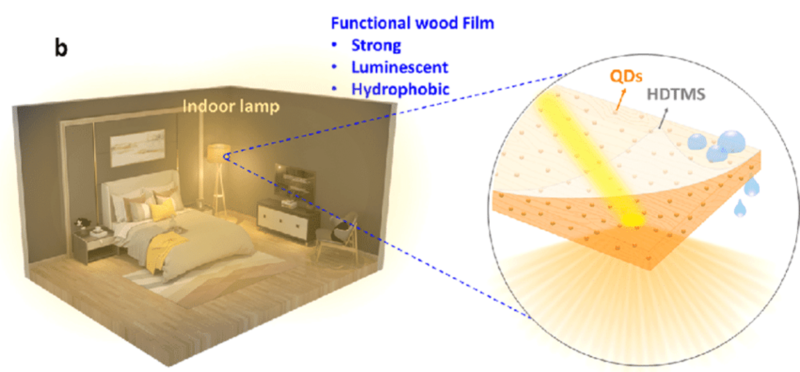 Люминисцентная древесина на биологической основе может осветить дома будущего