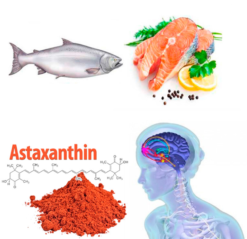 «Король антиоксидантов»: астаксантин  замедляет старение мозга