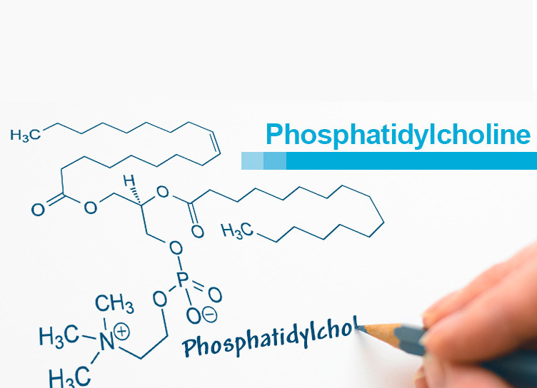 Фосфатидилхолин: влияние на здоровье на клеточном уровне