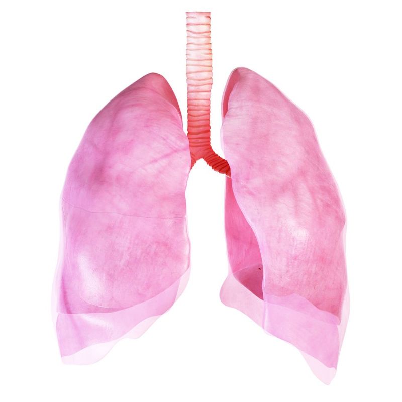 Астма: добавки для здоровья дыхательной системы
