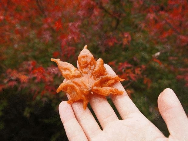 Изысканные жареные кленовые листья из Японии