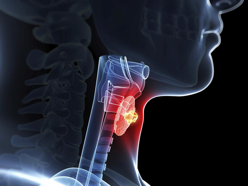 Щитовидная железа - на страже гормонального здоровья